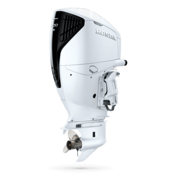 BF200 - Image 2