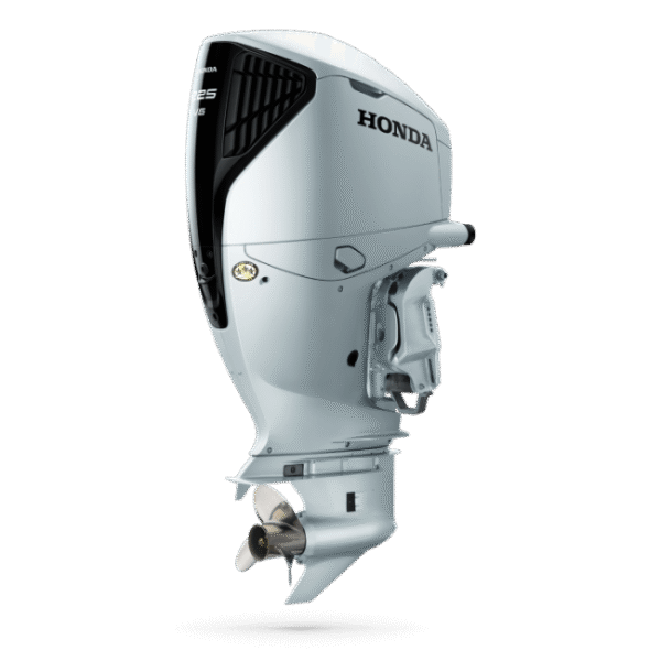 BF225 - Image 2
